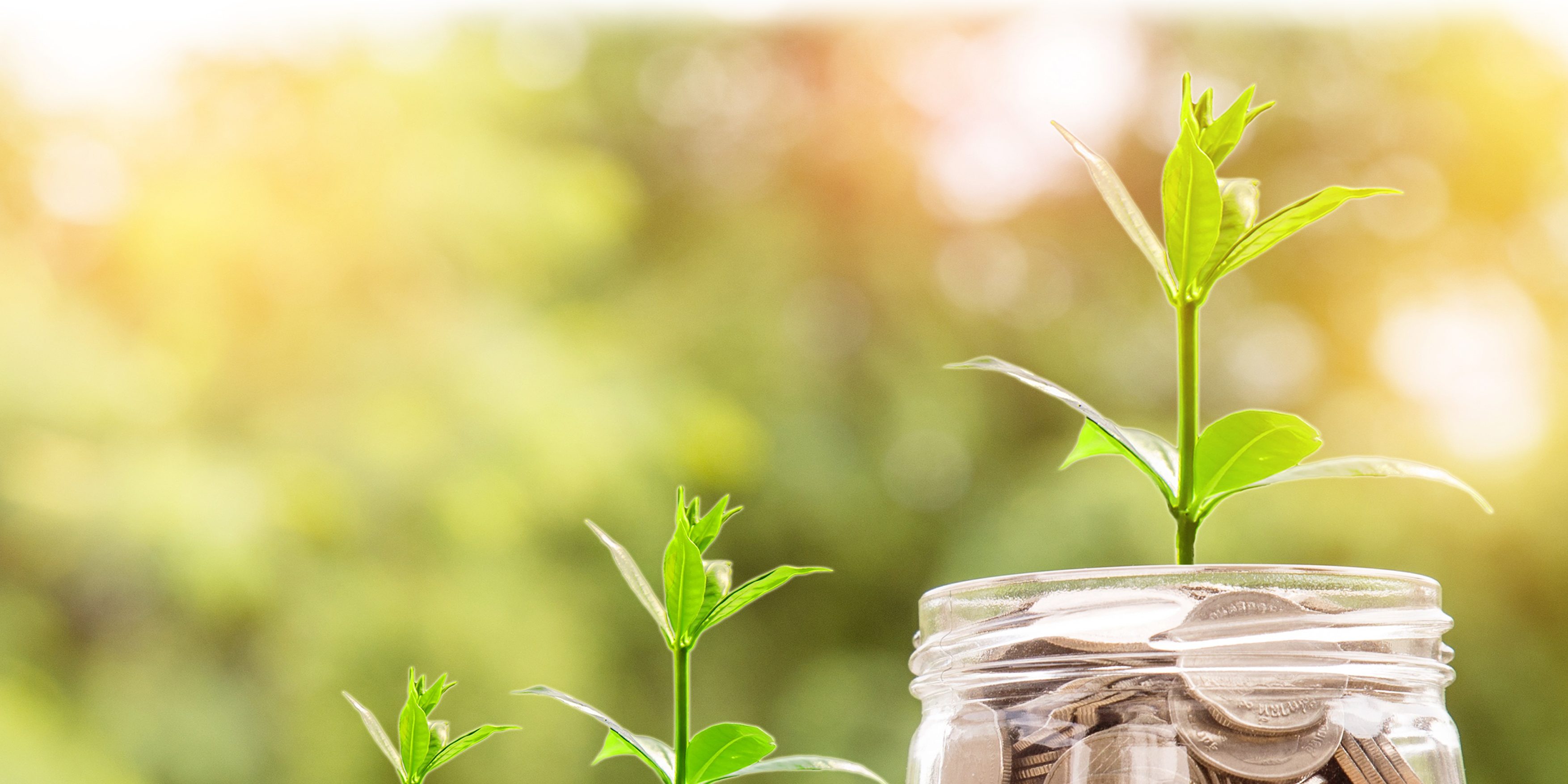 cartel fiscalidad – JPEG