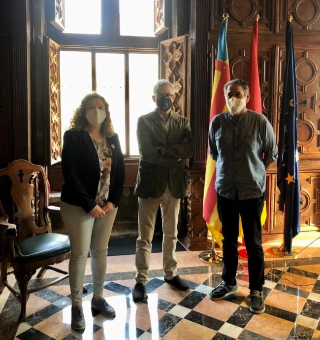 COTSV Comissionat Salut Mental