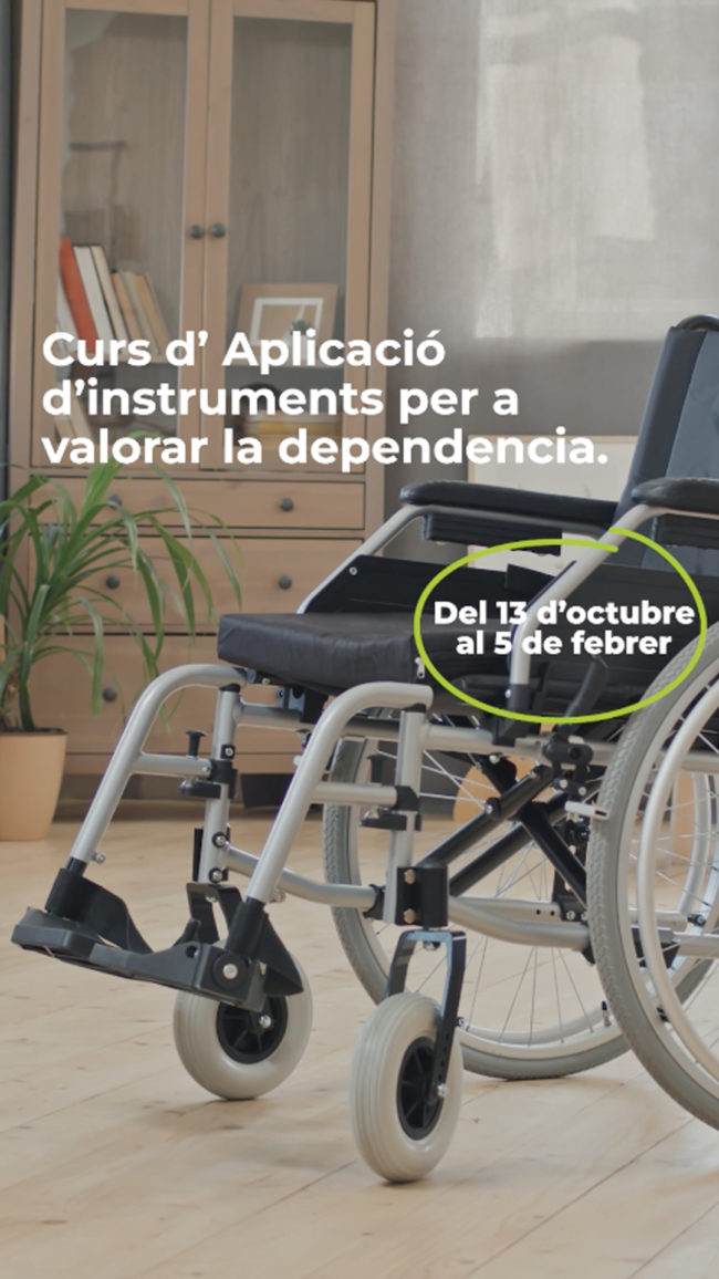 portada curs dependencia